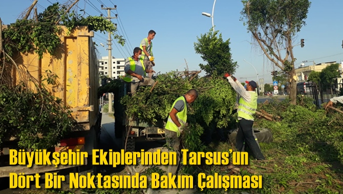 B&uuml;y&uuml;kşehir Ekiplerinden Tarsus&rsquo;un D&ouml;rt Bir Noktasında Bakım &Ccedil;alışması