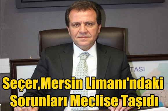 Se&ccedil;er,Mersin Limanı'ndaki Sorunları Meclise Taşıdı