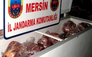 Tarsus Jandarması Kaçak Et Ele Geçirdi