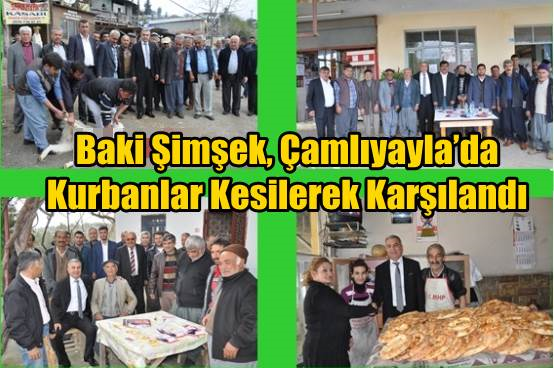 Baki Şimşek, &Ccedil;amlıyayla&rsquo;da Kurbanlar Kesilerek Karşılandı